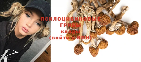 прущие крисы Армянск
