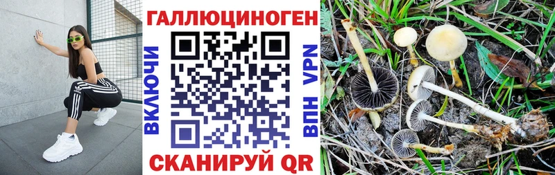 Галлюциногенные грибы прущие грибы Сарапул